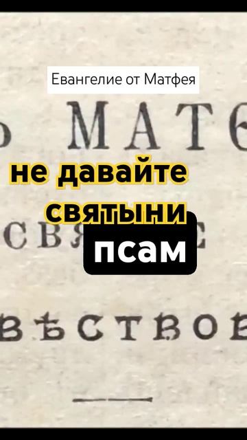 Святыня не для псов смотреть онлайн