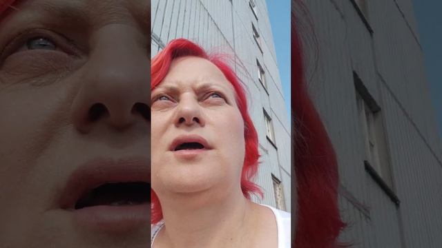 Бойтесь своих желаний. Все пошло не так, экстренная операция у собаки. И лабрики малыши смотреть онлайн