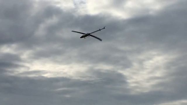 Re-maiden - Align 700L Dominator - Ethan Williams смотреть онлайн