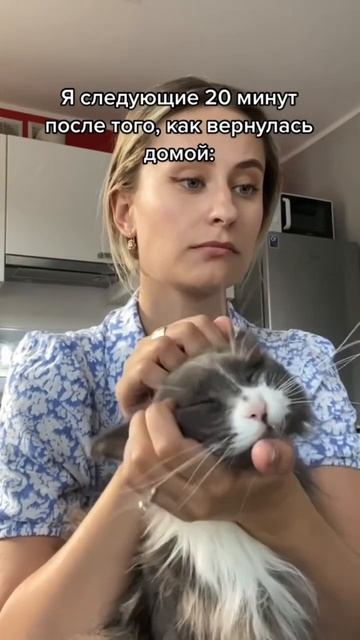 ОЧЕНЬ тактильный кот😅😅😅 #shortsvideo #смешныевидео #funnyvideo #catlover смотреть онлайн