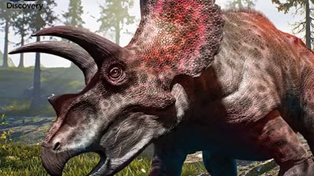 Puzzle Prime 3D Triceratops 16078 смотреть онлайн