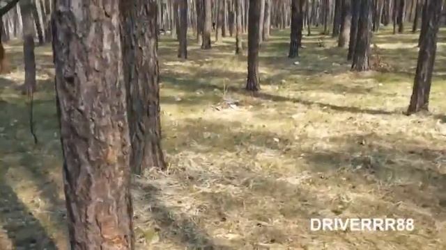 Свиньи среди нас или БЫДЛОМЕНТАЛИТЕТ смотреть онлайн