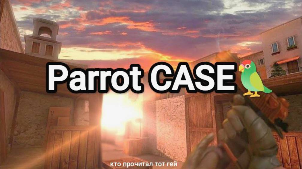 КАКИМ БУДЕТ НОВЫЙ КЕЙС? Parrot CASE В 9 СЕЗОНЕ STANDOFF 2