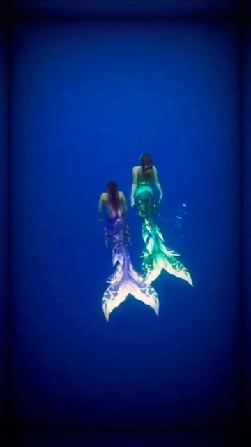 क्या है जलपरी की सच्चाई #fact #viral #short #shortsfeed #shortfeed #shortsvideo смотреть онлайн