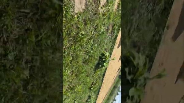 Напали (агро) Квадроберы