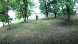 Глупые люди,солнце на блюде