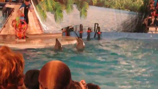 MVI 1129 смотреть онлайн