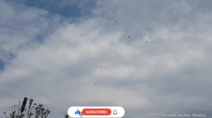 Высоколётные бакинские голуби