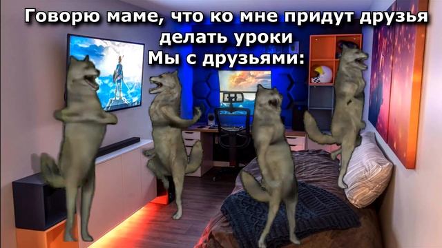 ИХВИЛЬНИХТ сборник мемов ЧАСТЬ 6 #ихвильнихт #тренды #танецволка #2023 #ichwillnicht #trending смотреть онлайн