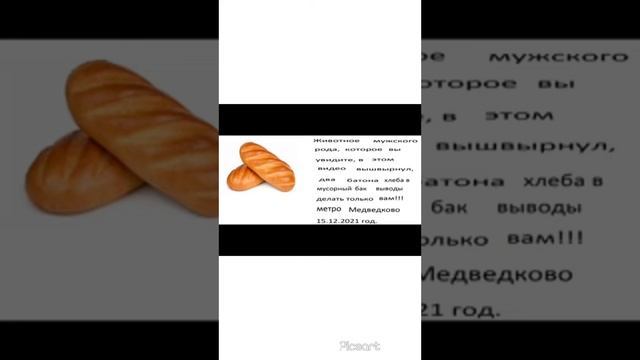 Переводчик для котов 🐈🐱🐈🐱 смотреть онлайн