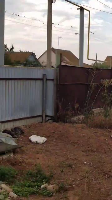 Утро доброе! смотреть онлайн