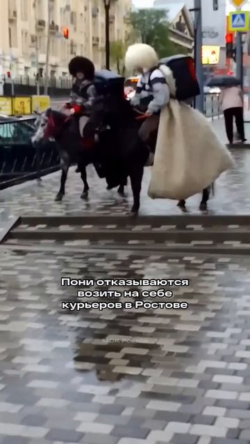 На видео два животных. И это не лошади смотреть онлайн