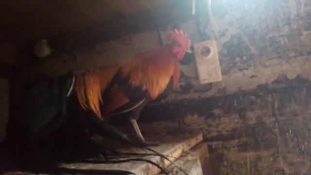 Мой канал яндекс дзен dmitr 1981 poiu @yandex. ru смотреть онлайн