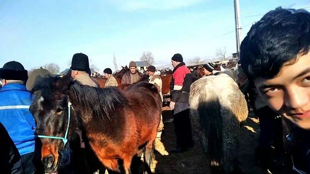 Тяжеловоз Аттар Чыкты Баасы 250 Мин Сом! Озгон Базары! смотреть онлайн