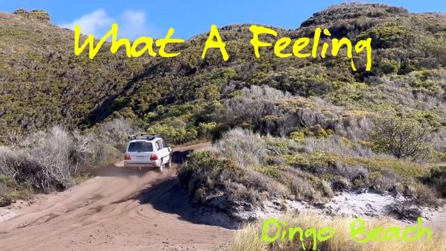 Landcruiser took a Nap at Dingo Beach track | West Cape Howe | Beach driving | Fishing |4wd recover смотреть онлайн