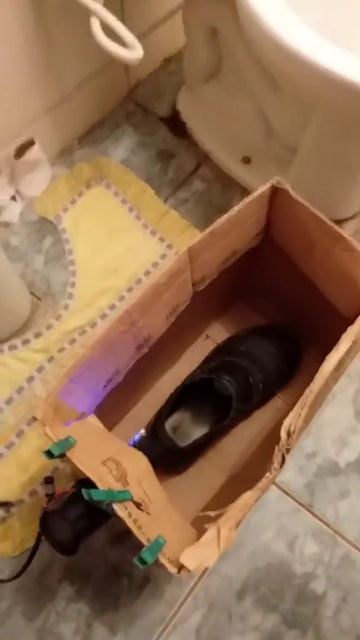 Como secar o sapato com secador de cabelo 😁👍 смотреть онлайн