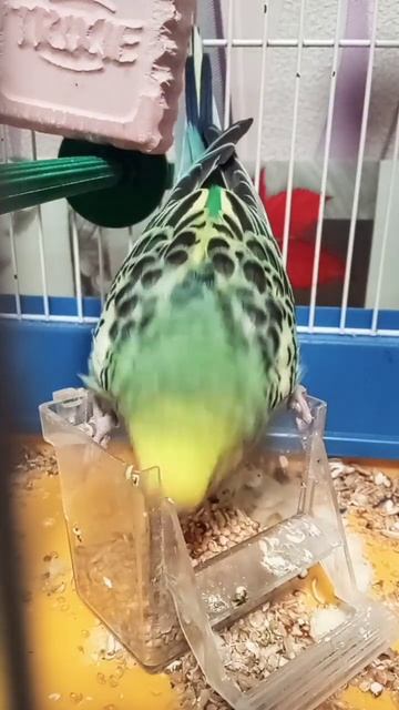 12 грудня 2022 р. смотреть онлайн