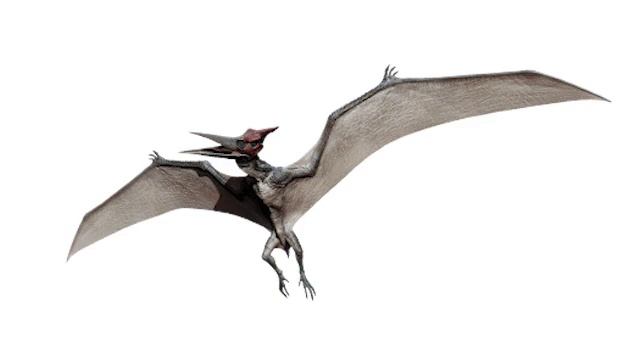 Pteranodon Sounds