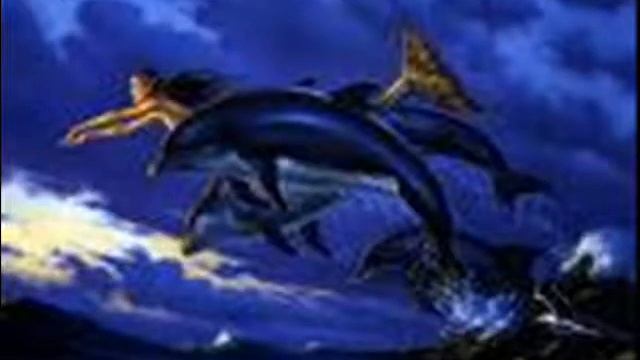 MI VIDEO DE DELFIN смотреть онлайн