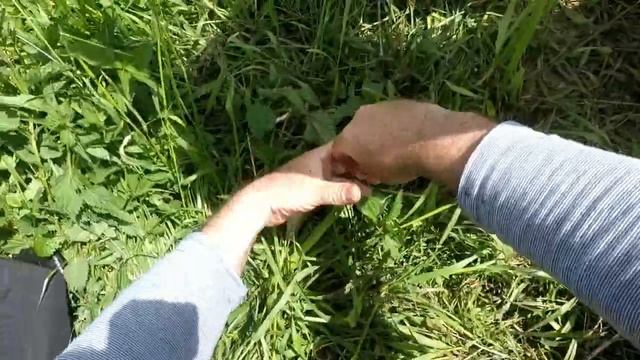 Красноперка смотреть онлайн