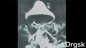 шайлушай phonk