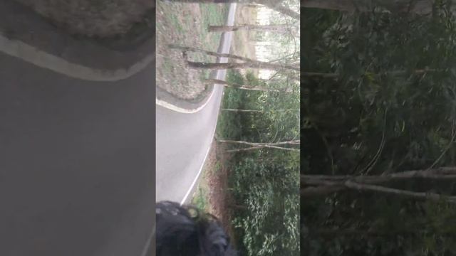 Cerun Pak Kodi смотреть онлайн