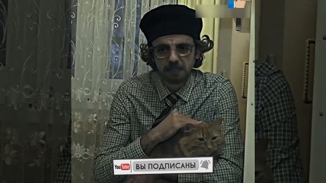 Мурад и кот. Я тебя люблю #murad, #shorts, #мурад смотреть онлайн