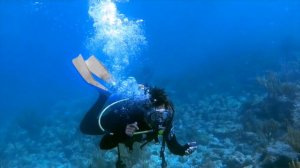 ЛУЧШИЙ 🔥 ФИЛЬМ 😉👌  ПРО ДЕЛЬФИНОВ ДЛЯ 🤗 ВСЕЙ СЕМЬИ