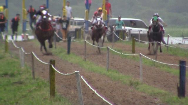 Tigresa - Hipodromo Virgel del Rosario - Villa Oliva - 31/03/2018. смотреть онлайн