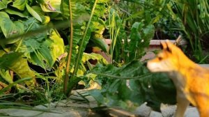 фигурки собак сериал/слабак/5 серия