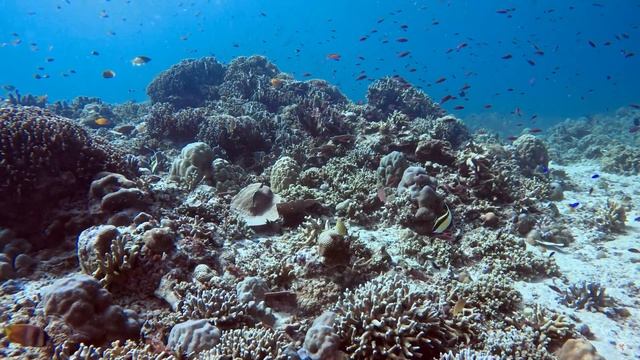 158. Shallow Turbo, Gili T. 2023/07/21 смотреть онлайн