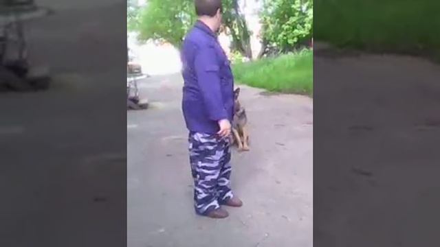 Служебная собака (Оксана). смотреть онлайн