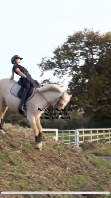 Why I hate Harlow White #shorts #horses #harlowlunawhite #horseriding #horses#harlowandpopcorn смотреть онлайн