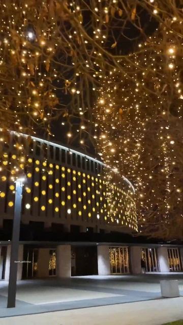 Парк Галицкого к Новому году готов ✨ #краснодар #паркгалицкого #парк #россия #паркироссии смотреть онлайн