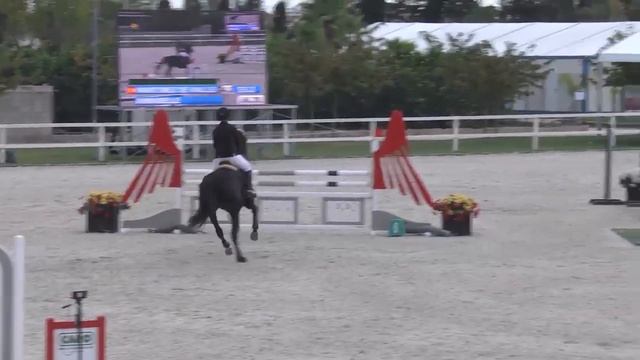 ANNABELLE - Ana Martinez Hernandez - Bronze.2.1.25m - Valencia (8.11.2014) смотреть онлайн