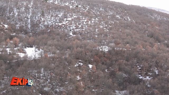 Wild Boar Hunting Turkey Tokat 2 Team Work охота на кабана صيد الخنازير البرية смотреть онлайн