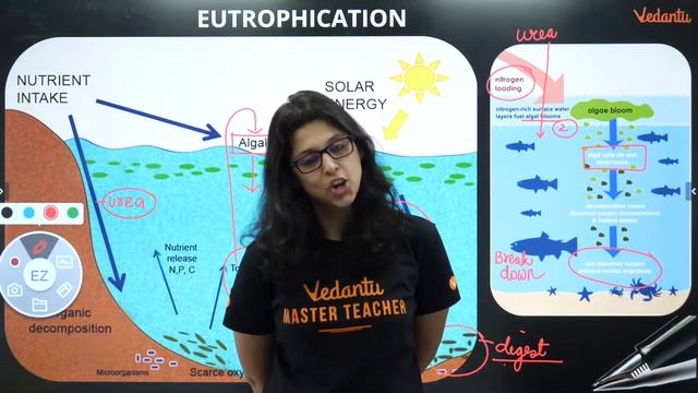 Environmental Issues Class 12 | Biology Mind Maps for NEET 2020 | Vedantu NEET Biology смотреть онлайн