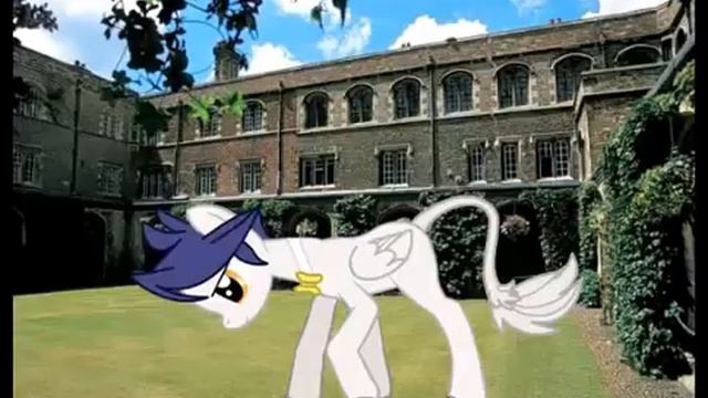 ♪Вы видели как умирают киты?♪ ★Пони-креатор★ смотреть онлайн