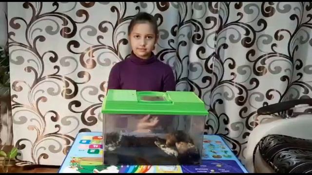 Фильм Как я ухаживаю за улитками смотреть онлайн