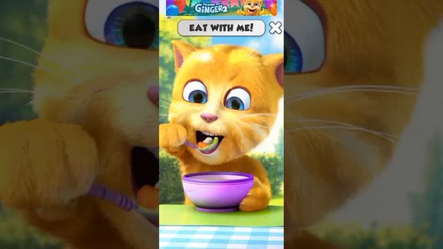 preview 2 orange🤣😂🥭🥦🌽 vocoder effects talking to ginger 2 funny videos and friends cats #shortvideo смотреть онлайн
