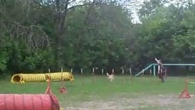 4.06.11. GrandPrix A2, Ника смотреть онлайн