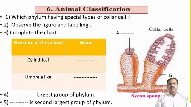 6. Animals Classification.. SSC Maharashtra Board Syllabus. смотреть онлайн