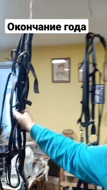 как у нас заканчивается год в Шорном Дворе Медведева смотреть онлайн