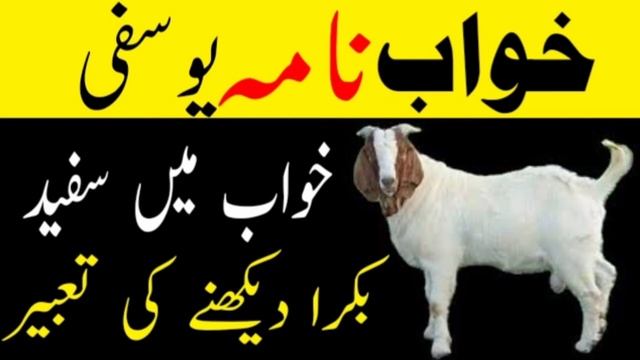 Khawab Main Sufeed Bakra Dekhne Ki Tabeer !! khwab mein bakra dekhna kaisa hai !! смотреть онлайн