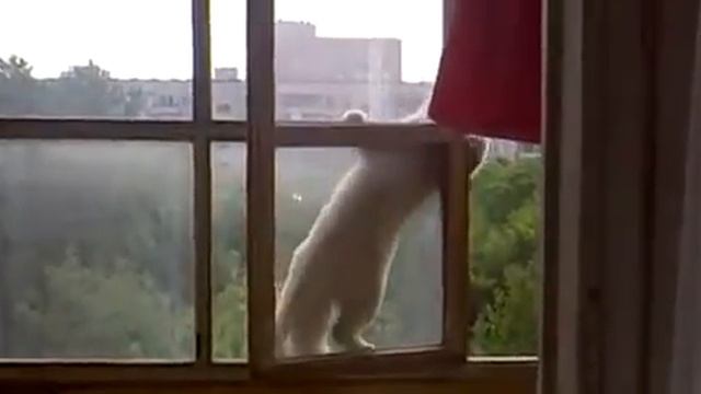 Вторжение в дом смотреть онлайн