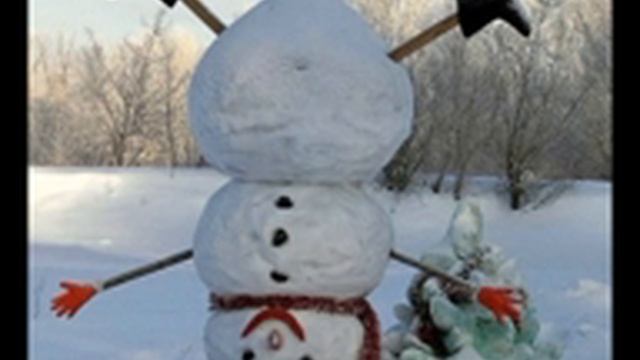 Мечты сбываются. Елена Степанова. смотреть онлайн