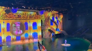 ШОУ «БУРЯ» Москвариум на ВДНХ