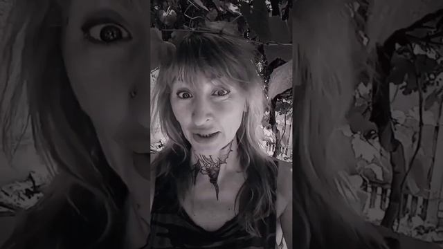 падежь ласточки на Кубани! как мы спасали ласточек.нападение хищника на меня во время спасения!жест смотреть онлайн
