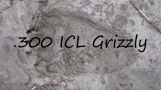 How to pronounce .300 ICL Grizzly? смотреть онлайн