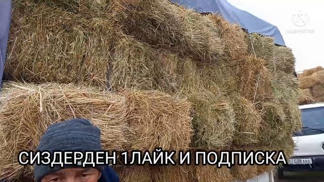 ЧОП БАЗАР ЭЧ МЫНДАЙ БОЛБОГОН 25-02-2022 ЖАЛАЛ-АБАД #жалалабадмалбазары#малбазарош смотреть онлайн